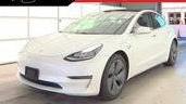 TESLA MODEL 3 2020 5YJ3E1EB3LF665768 image